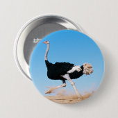 Grappige lopende struisvogel foto pin-back ronde button 7,6 cm (Voorkant /achterkant)