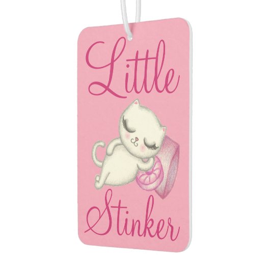 Grappige luchtverfrisser voor katten (Links)