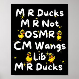 Grappige M R Eenden M R Niet Osmr Cm Wangs Lib M R Poster