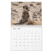 Grappige Meerkats die het buitengewone doen, Kalender (Mar 2027)