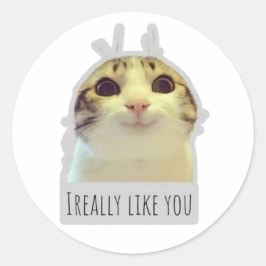 grappige meme kat ronde sticker (Voorkant)