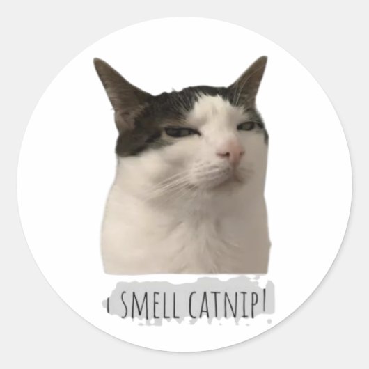 grappige meme kat ronde sticker (Voorkant)
