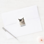 grappige meme kat ronde sticker (Envelop)