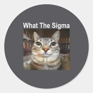 Grappige Meme Kat Wat De Sigma Schattige Kat Meme Ronde Sticker