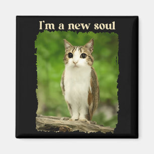 Grappige Meowl Meme, Kat Uil Meme Brainrot Gen Alp Magneet