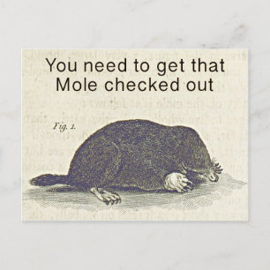 Grappige Mole Groetjes Kaart, Animal Birthday Humo Briefkaart