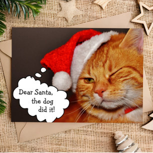 Grappige Moppige Prettig Kerstfeest Vakantie Kat K Feestdagen Kaart