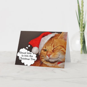 Grappige Moppige Prettig Kerstmis Vakantie Kat Kaa Feestdagen Kaart