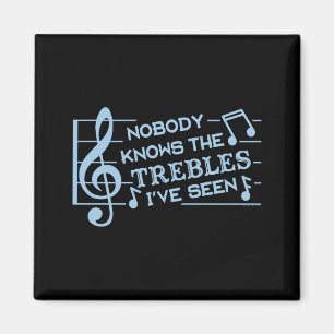 Grappige muzikanten discant grap puns muzieklerare magneet