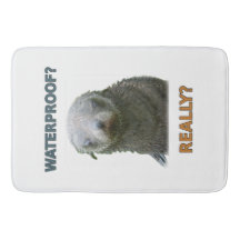 Grappige Natte Zeehond Pup