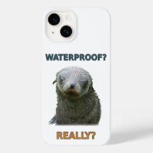 Grappige natte zeehondpup
