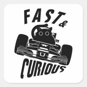 Grappige nieuwsgierige auto rijden kat vierkante sticker