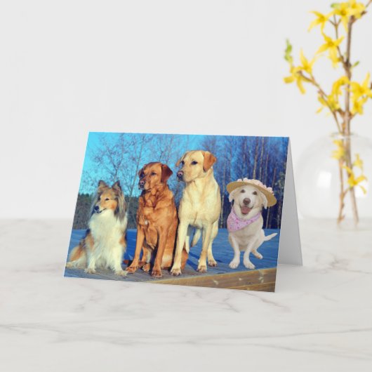 Grappige One of a Kind Lab Verjaardag Kaart (Gele Bloem)