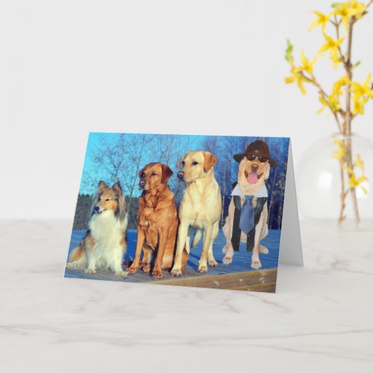 Grappige One of a Kind Lab Verjaardag Kaart (Gele Bloem)