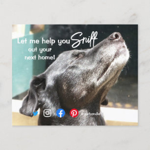 grappige onroerend goed snuffel je volgende huis h flyer