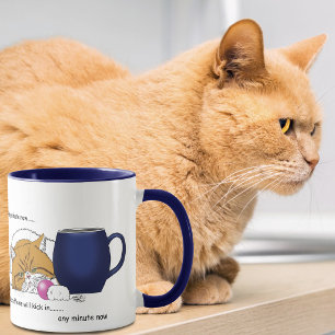 Grappige Oranje Kat Blauwe Koffiemok Mok