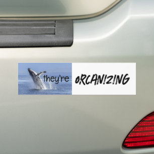 Grappige ORCA Killer Whale Meme Joke Bumpersticker