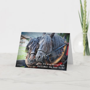 Grappige Oude Man Paard Wenskaart Kaart