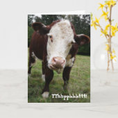 Grappige oude scheet Koe verjaardag Kaart (Gele Bloem)