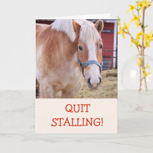 Grappige paard grap woordspeling kaart voor beters (Gele Bloem)