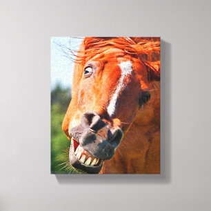 Grappige paard lachfoto canvas afdruk