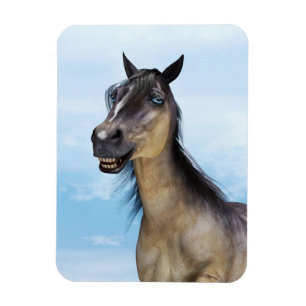 Grappige Paarden Glimlach Portret Kunst Magneet