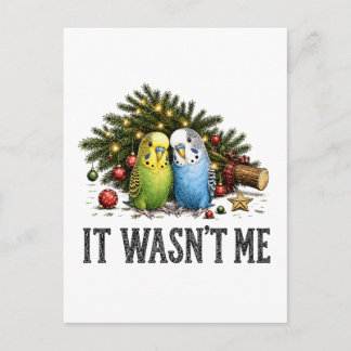 Grappige Parkieten Kerstmis Het Was Ik Niet Uitnodiging Briefkaart