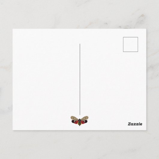 Grappige Pennsylvania Spotted Lanternfly Custom Briefkaart (Achterkant)