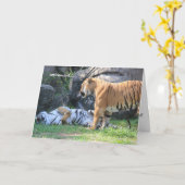 Grappige Pensioen Kaart, slapende tijger Kaart (Gele Bloem)