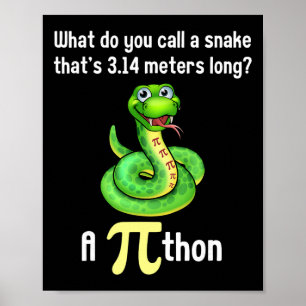Grappige Pi-dag Puns Pithon Wiskunde Leraar Grappe Poster
