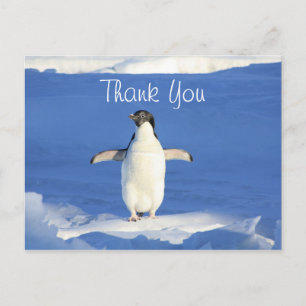 Grappige Pinguïn Bedankt Briefkaart
