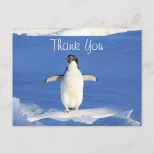 Grappige Pinguïn Dank Je Briefkaart