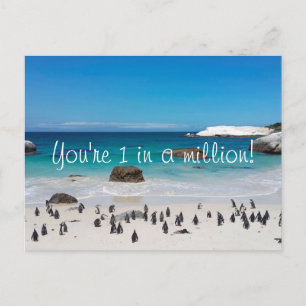Grappige Pinguïns Bedankt Briefkaart