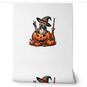 Grappige Pitbull Heksenpompoen Hond Halloween Mann Behang