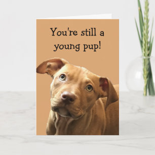 Grappige Pitbull Puppy Verjaardag Kaart