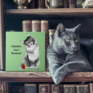 Grappige Pluizige Maine Coon Kat Groene Humor Tegeltje