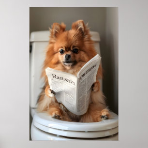 Grappige Pomeranian-badkamerprint, toiletkrant Poster