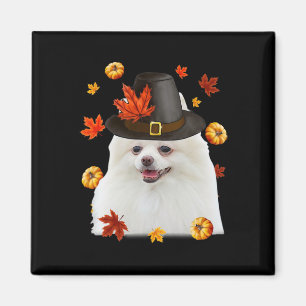 Grappige Pomeranian Hond Pilgrim Hoed Herfst Geluk Magneet