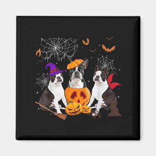 Grappige Pompoen Heks Boston Terrier Hond Hallowee Magneet