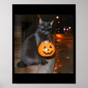 Grappige pompoen kat meme trick or treat halloween poster