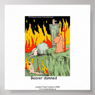 Grappige Poster: Bever Dammen Poster