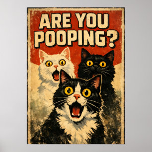Grappige Poster van Geschokte Katten Badkamer Hu
