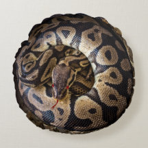 Grappige Prank Python Snake