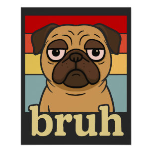 Grappige Pug Bruh Dwaze Puppy Hond Liefhebber Humo Perfect Poster