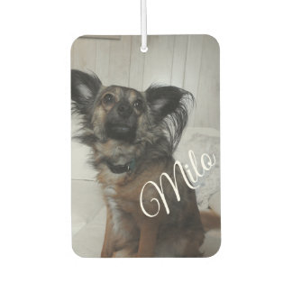 Grappige puppy hond huisdier foto gepersonaliseerd luchtverfrisser