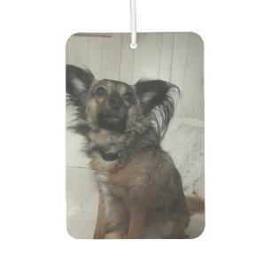 Grappige puppy hond huisdier foto gepersonaliseerd luchtverfrisser