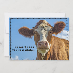 Grappige Ranch Farm Country Western Koe Bril Feestdagenkaart