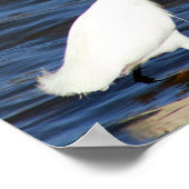 Grappige Reiger Poster (Hoek)