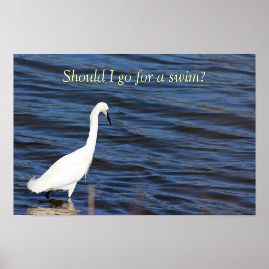 Grappige Reiger Poster (Voorkant)