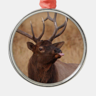 grappige rendieren metalen ornament